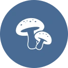 文化財アイコン